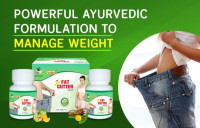 Best Weight Loss Product Fat Cutter