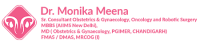 Dr. Monika Meena