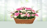 Express Emotions with Beautiful Flowers Delivered Across Japan