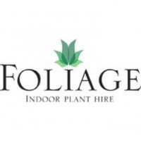 Indoor Plants Melbourne | Foliage Indoor Plant Hire