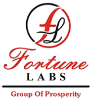 Fortune Labs