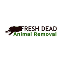 Fresh Dead Animal Removal Melbourne