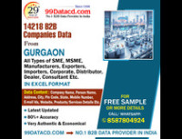 Top List of Companies in Gurgaon in Excel Format - 99Datacd