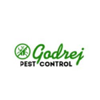 Reliable Termite Control Noida Services