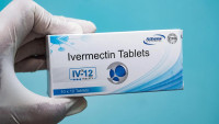 ivermectin24.us