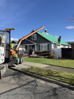 Hammerhead Roofing and Construction