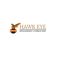 HAWK EYE SECURITY & DETECTIVE AGENCY PVT. LTD.
