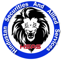 Hindustan Securities And Allied Services
