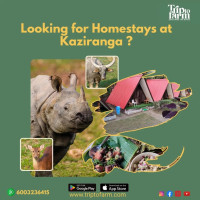 Homestays in Kaziranga Book at ₹1499/-