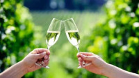 Hunter Valley Wine Tours