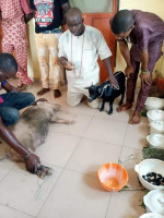 The best powerful spiritual juju in Nigeria