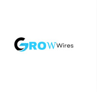 Seo Service in india