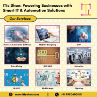 ITis Shan | Top IT Service Providing Company in Singapore