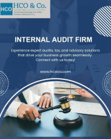 Experienced Internal Audit Firm for Modern Business Needs