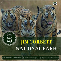 Jim Corbett Booking – Explore the Wilderness with Corbett Booking