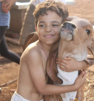 About Kesariya Farm