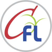 Chintamani Finlease Ltd