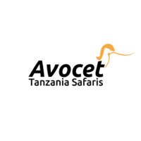 Avocet Tanzania Safaris