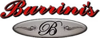 Burrini's Power Washing and Roof Cleaning Systems LLC