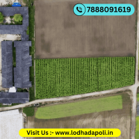 Goa Of Tomorrow House Of Abhinandan Lodha Dapoli Plots Hoabl Project
