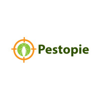 Pest Control in Lucknow