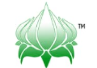 Trusted Healthcare Leadership & Compliance Guidance in the US