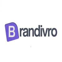 Brandivro- Digital Marketing Agency in India