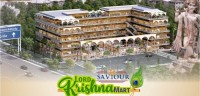 Saviour Lord Krishna Mart