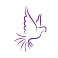 Love Dove Studios
