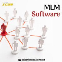 ProMLM Software for Large MLM Networks