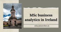 msc business analytics in ireland