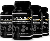 https://supplements4fitness.com/magnum-xt-review/