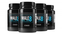 What Are The Functions Of Male Elg8?