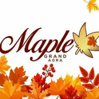Maple Pure Veg Restaurant