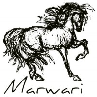 Marwari Horses - Buy India Best Marwari horses for sale at Best Price.