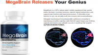 What Is The Mega Brain Pills – Recovering Memory?