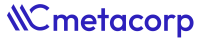 Metacorp: Your Partner in Seamless Business Setup