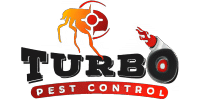 Rodent Control in Melbourne