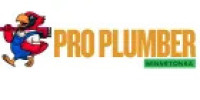 Pro Plumber Minnetonka