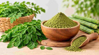 Why India Is Emerging as a Moringa Powder Sourcing Hub
