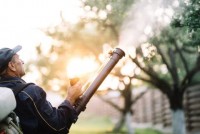 Travis Pest Services