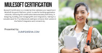 DumpsArena: Simplifying Mulesoft Certification