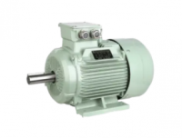 Zhejiang Qizhi Motor Co., Ltd.