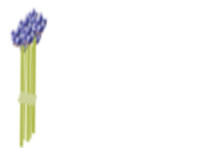 VMK Naturopath