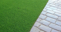 Rooftop Garden Ltd