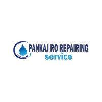 Pankaj Ro Repairing Services