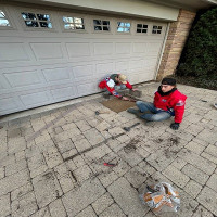 Peter's Paver Restoration