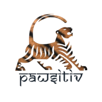 Experience the Magic of African Safaris with Pawsitiv Adventures