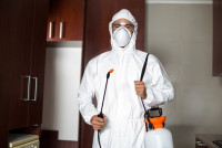 Popular Pest Control Services Provider in Navi Mumbai