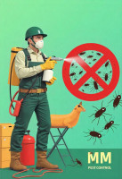 pest control kolkata